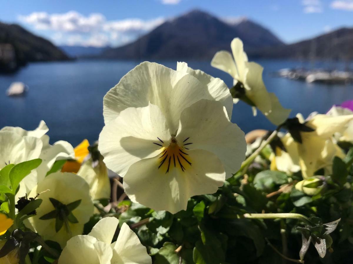Gli Oleandri Hotell Bellano Exteriör bild