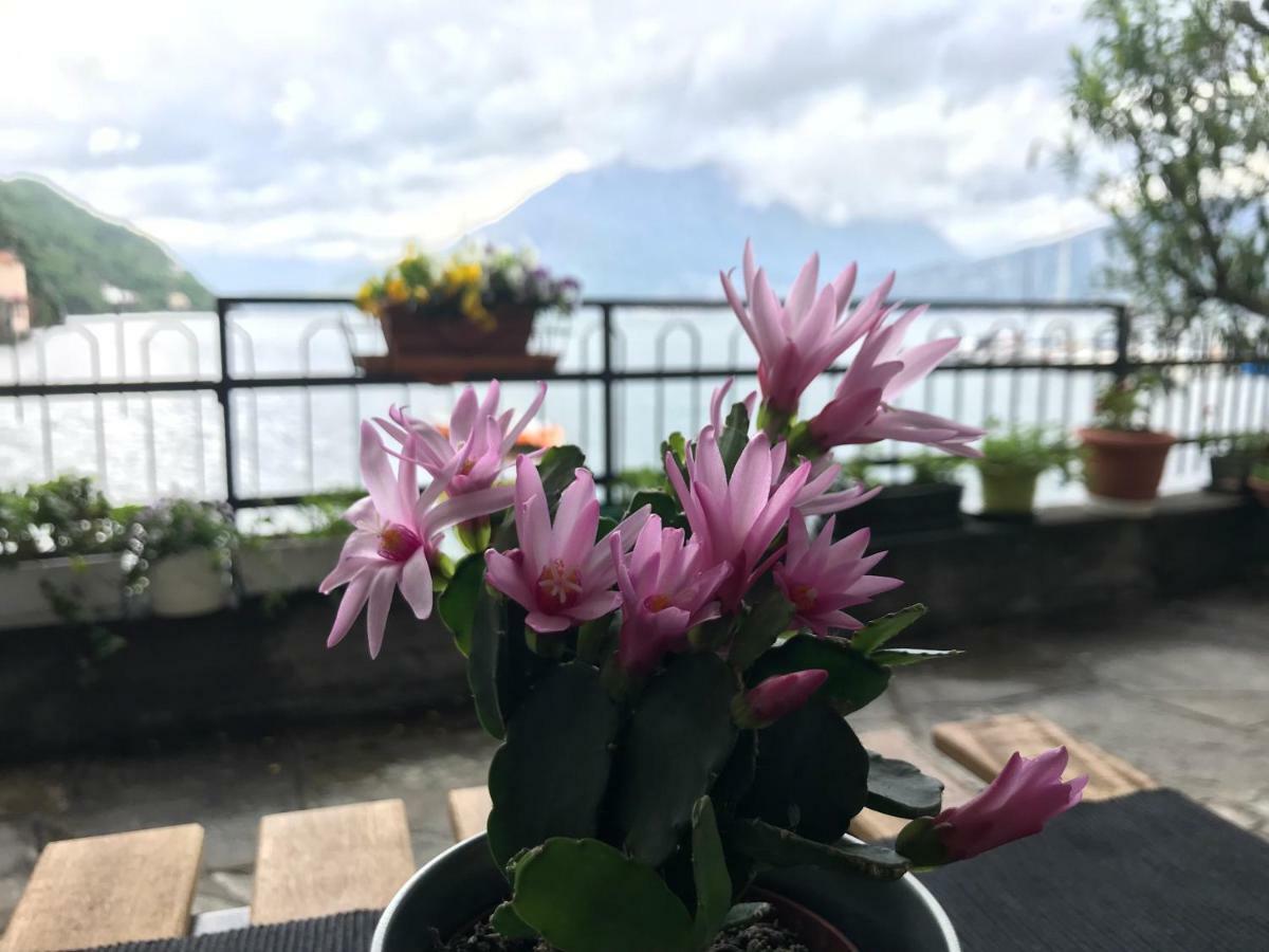 Gli Oleandri Hotell Bellano Exteriör bild