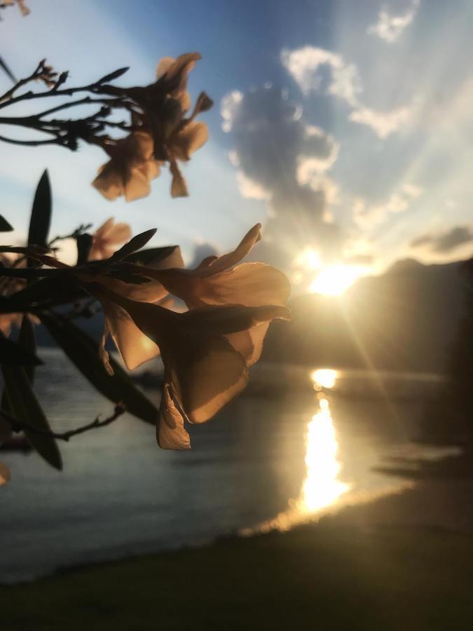 Gli Oleandri Hotell Bellano Exteriör bild